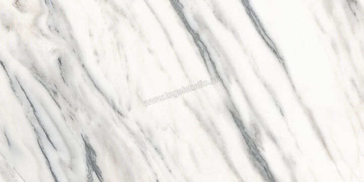 Marazzi Allmarble Bianco Arni Lux 60x120 cm Vloertegel / Wandtegel Glanzend Vlak Lux MF6S | 225306