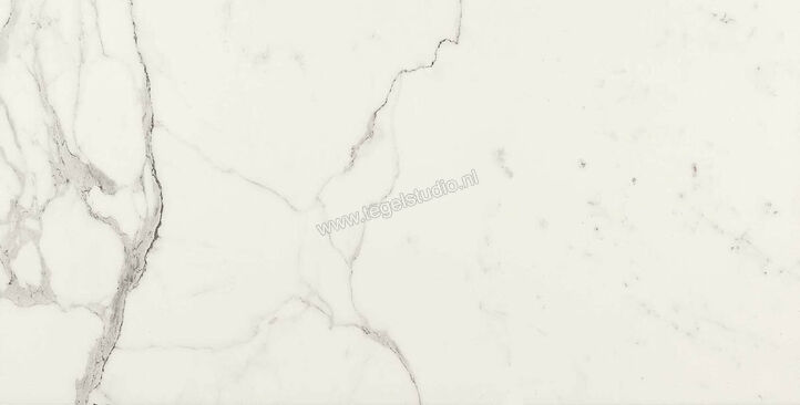 Marazzi Allmarble Statuario Lux 60x120 cm Vloertegel / Wandtegel Glanzend Vlak Lux MMGQ | 225456