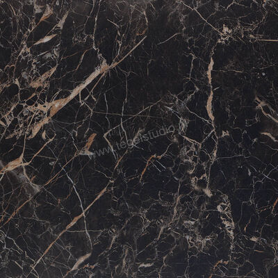 Marazzi Allmarble Saint Laurent 60x60 cm Vloertegel / Wandtegel Mat Vlak Naturale MMVG | 225576