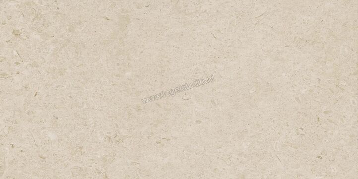 Marazzi Caracter Arena 60x120 cm Vloertegel / Wandtegel Mat Vlak Naturale M978 | 227307