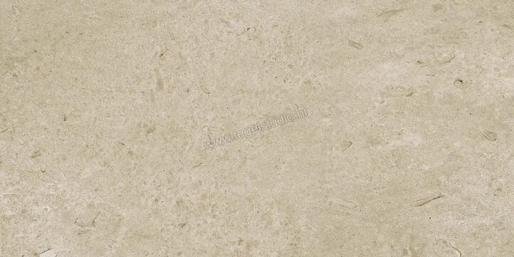 Marazzi Caracter Greige 60x120 cm Vloertegel / Wandtegel Mat Vlak Naturale M979 | 227352