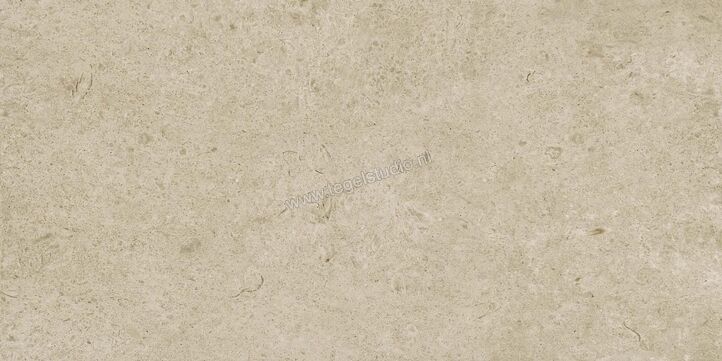 Marazzi Caracter Greige 60x120 cm Vloertegel / Wandtegel Mat Vlak Naturale M979 | 227370