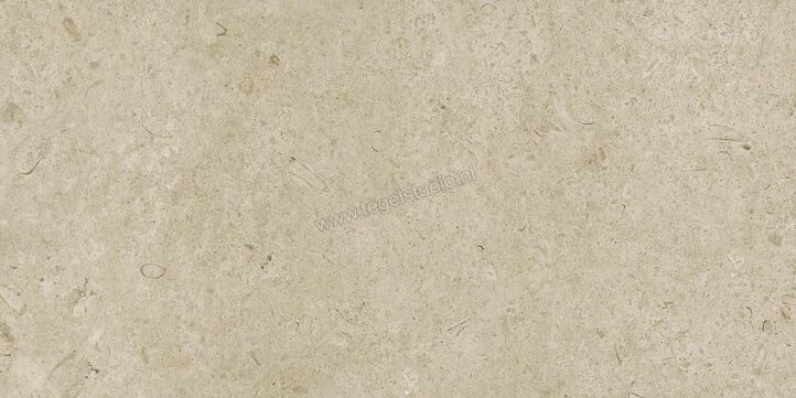 Marazzi Caracter Greige 60x120 cm Vloertegel / Wandtegel Mat Vlak Naturale M979 | 227379