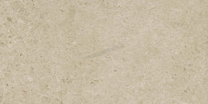 Marazzi Caracter Greige 60x120 cm Vloertegel / Wandtegel Mat Vlak Naturale M979 | 227388