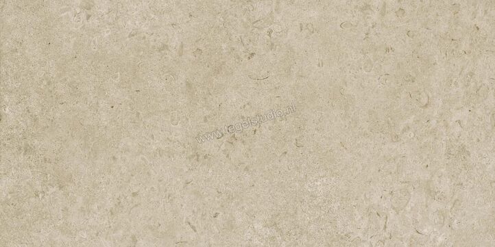 Marazzi Caracter Greige 60x120 cm Vloertegel / Wandtegel Mat Vlak Naturale M979 | 227397