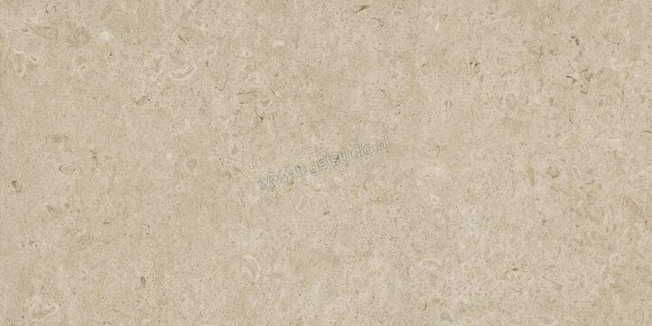 Marazzi Caracter Greige 60x120 cm Vloertegel / Wandtegel Mat Vlak Naturale M979 | 227406