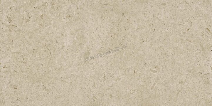 Marazzi Caracter Greige 60x120 cm Vloertegel / Wandtegel Mat Vlak Naturale M979 | 227415