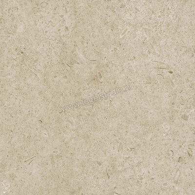 Marazzi Caracter Greige 60x60 cm Vloertegel / Wandtegel Mat Vlak Naturale M97H | 227721