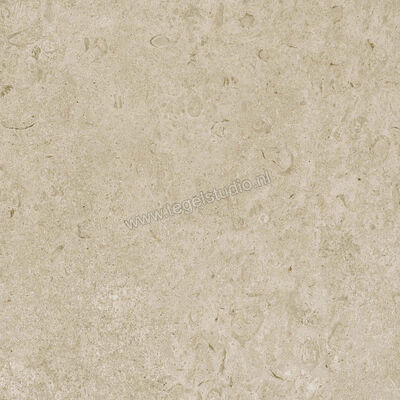 Marazzi Caracter Greige 60x60 cm Vloertegel / Wandtegel Mat Vlak Naturale M97H | 227742