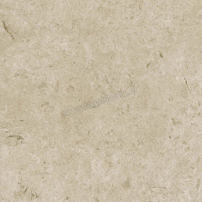 Marazzi Caracter Greige 60x60 cm Vloertegel / Wandtegel Mat Vlak Naturale M97H | 227772