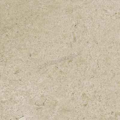 Marazzi Caracter Greige 60x60 cm Vloertegel / Wandtegel Mat Vlak Naturale M97H | 227784