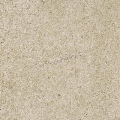 Marazzi Caracter Greige 60x60 cm Vloertegel / Wandtegel Mat Vlak Naturale M97H | 227793