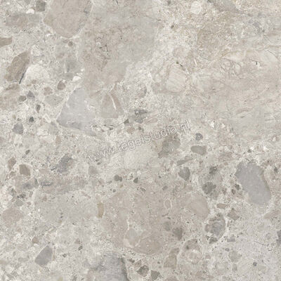 Marazzi Caracter Mix Gris 60x60 cm Vloertegel / Wandtegel Mat Vlak Naturale M97L | 227961