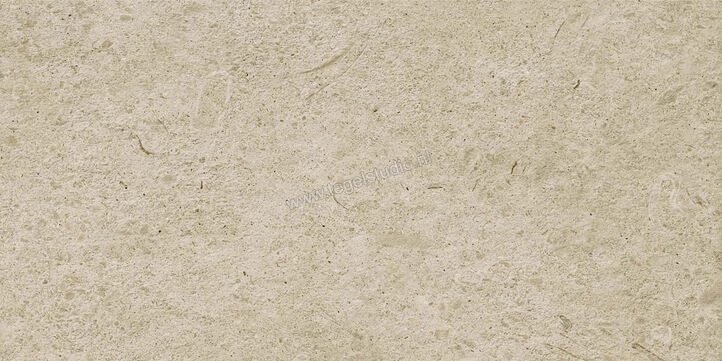 Marazzi Caracter Greige 30x60 cm Vloertegel / Wandtegel Mat Vlak Naturale M97Q | 228141