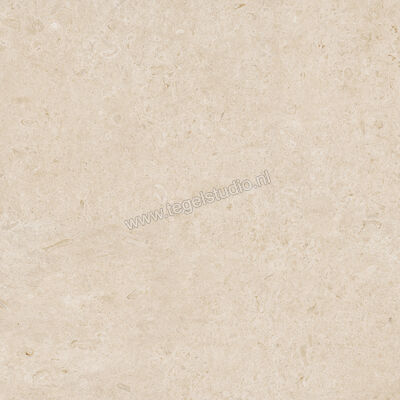 Marazzi Caracter Arena 100x100 cm Vloertegel / Wandtegel Mat Vlak Naturale MDCS | 229452