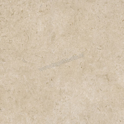 Marazzi Caracter Greige 100x100 cm Vloertegel / Wandtegel Mat Vlak Naturale MDDS | 229506