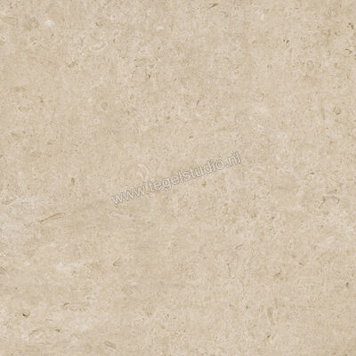 Marazzi Caracter Greige 100x100 cm Vloertegel / Wandtegel Mat Vlak Naturale MDDS | 229515