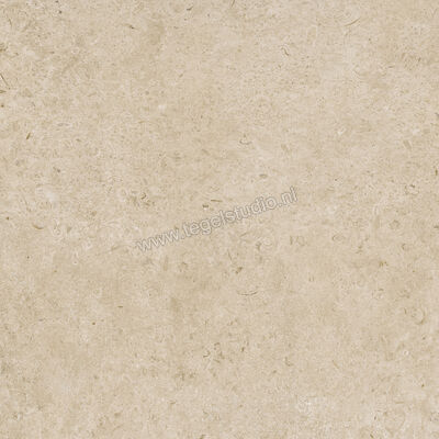 Marazzi Caracter Greige 100x100 cm Vloertegel / Wandtegel Mat Vlak Naturale MDDS | 229536