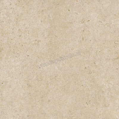 Marazzi Caracter Greige 100x100 cm Vloertegel / Wandtegel Mat Vlak Naturale MDDS | 229548