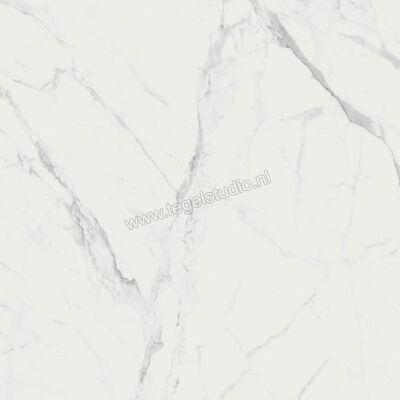 Marazzi MarblePlay Statuarietto 58x58 cm Vloertegel / Wandtegel Glanzend Vlak Lux M4LF | 234237