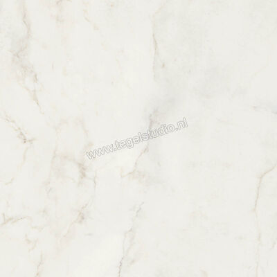 Marazzi MarblePlay Calacatta 58x58 cm Vloertegel / Wandtegel Glanzend Vlak Lux M4LG | 234246