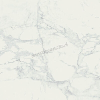 Marazzi MarblePlay White 58x58 cm Vloertegel / Wandtegel Glanzend Vlak Lux M4LR | 234375