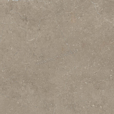  Marazzi Mystone - Limestone Taupe 60x60 cm Vloertegel / Wandtegel Mat Vlak Naturale M7E9 | 238002