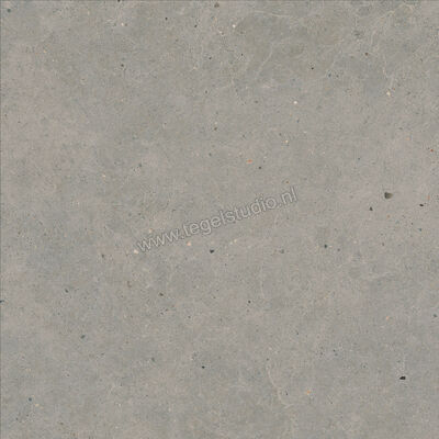  Marazzi Mystone - Moon Grey 60x60 cm Vloertegel / Wandtegel Mat Vlak Naturale M6E2 | 238224