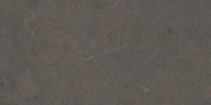  Marazzi Mystone - Moon Anthracite 30x60 cm Vloertegel / Wandtegel Mat Vlak Naturale M6E5 | 238245