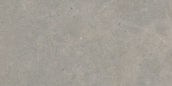  Marazzi Mystone - Moon Grey 30x60 cm Vloertegel / Wandtegel Mat Vlak Naturale M6E6 | 238257