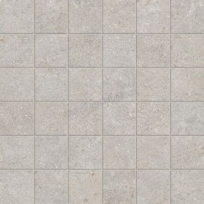 Marazzi Terratech Polvere 30x30 cm Mozaiek 5x5 Mat Vlak Naturale M8Y7 | 243561