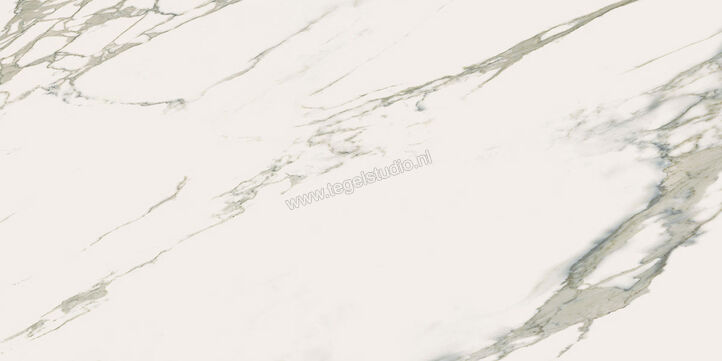 Ava Ceramiche Calacatta Calacatta 60x120 cm Vloertegel / Wandtegel Glanzend Vlak Lappato 083065 | 248771