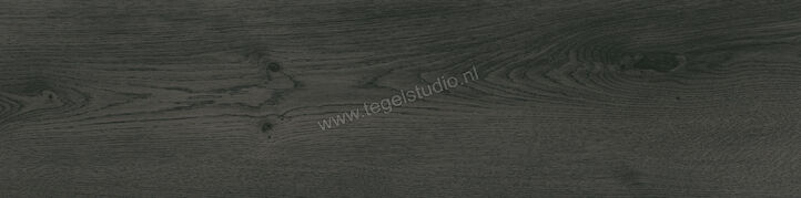 Keraben Madeira Negro 24.8x100 cm Vloertegel / Wandtegel Mat Vlak Naturale GMD4400K | 254336