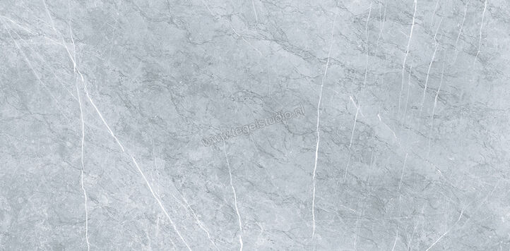 Keraben Inari Gris 37x75 cm Vloertegel / Wandtegel Glanzend Gestructureerd Lappato GVBAC002 | 256517