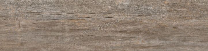 Keraben Lenda Nut 24.8x100 cm Vloertegel / Wandtegel Mat Gestructureerd Naturale GW944003 | 256724