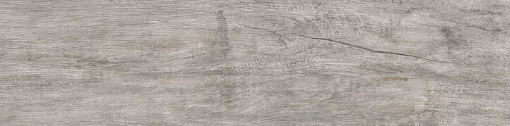 Keraben Lenda Grey 24.8x100 cm Vloertegel / Wandtegel Mat Gestructureerd Naturale GW944020 | 256781