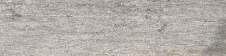 Keraben Lenda Grey 24.8x100 cm Vloertegel / Wandtegel Mat Gestructureerd Naturale GW944020 | 256784