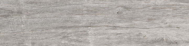 Keraben Lenda Grey 24.8x100 cm Vloertegel / Wandtegel Mat Gestructureerd Naturale GW944020 | 256787