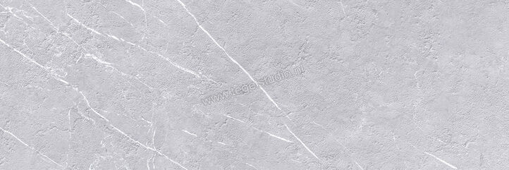 Keraben Inari Gris 30x90 cm Wandtegel Mat Vlak Naturale KVBPG022 | 258179