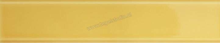 Quintessenza Tinte Giallo 5x25 cm Decor Glanzend Vlak Lucido TNT109L | 265869