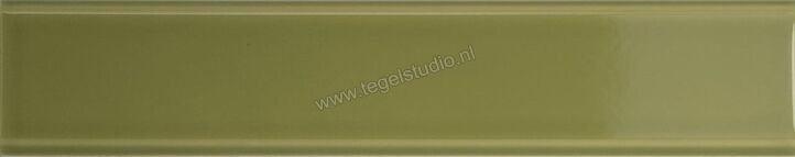 Quintessenza Tinte Verde 5x25 cm Wandtegel Glanzend Vlak Lucido TNT110L | 265938