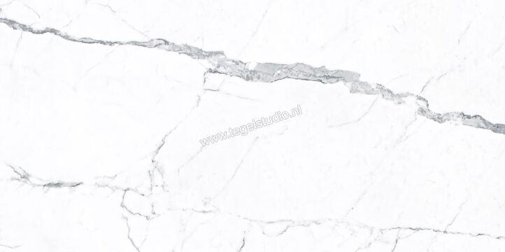 Keraben Idyllic Statuario White 60x120 cm Vloertegel / Wandtegel Starlight Glanzend Vlak Brillo P0003810 | 268017