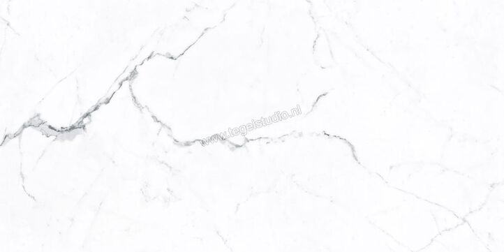 Keraben Idyllic Statuario White 60x120 cm Vloertegel / Wandtegel Vecchio Mat Vlak Naturale P0003934 | 268080