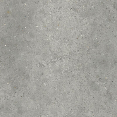  Topcollection Anima Outdoor Grigio 80x80x2 cm Terrastegel Mat Gestructureerd Naturale CVPF60012098 | 272061