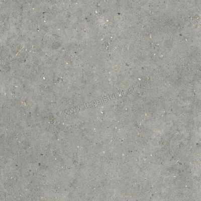  Topcollection Anima Outdoor Grigio 80x80x2 cm Terrastegel Mat Gestructureerd Naturale CVPF60012098 | 272070