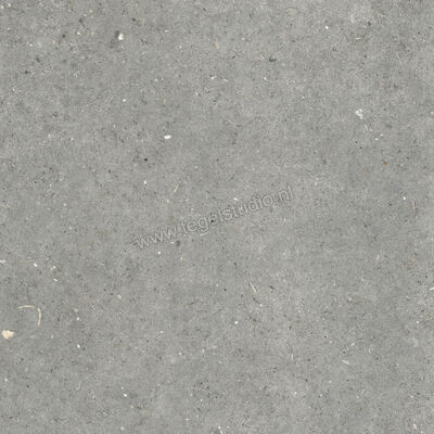 Topcollection Anima Outdoor Grigio 80x80x2 cm Terrastegel Mat Gestructureerd Naturale CVPF60012098 | 272073