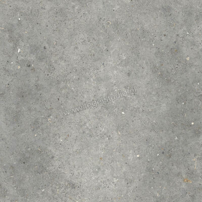 Topcollection Anima Outdoor Grigio 80x80x2 cm Terrastegel Mat Gestructureerd Naturale CVPF60012098 | 272076