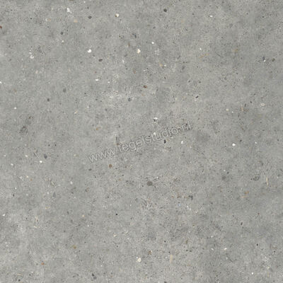  Topcollection Anima Outdoor Grigio 80x80x2 cm Terrastegel Mat Gestructureerd Naturale CVPF60012098 | 272079