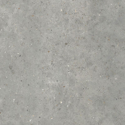  Topcollection Anima Outdoor Grigio 80x80x2 cm Terrastegel Mat Gestructureerd Naturale CVPF60012098 | 272082