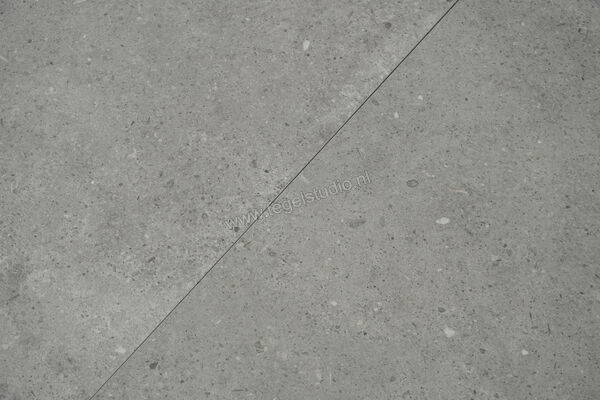  Topcollection Anima Outdoor Grigio 80x80x2 cm Terrastegel Mat Gestructureerd Naturale CV0012098 | 272085